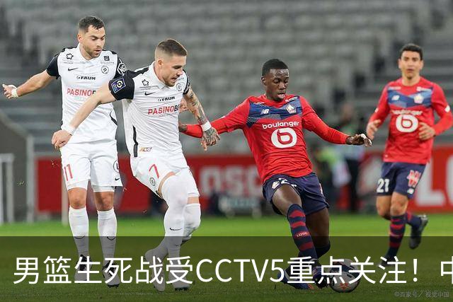 男篮生死战受CCTV5重点关注！中国队迎战中国台北队：落败将直接无缘男篮世界杯