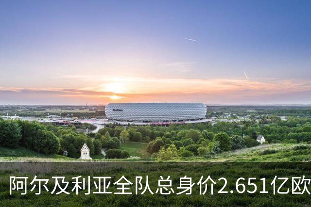 阿尔及利亚全队总身价2.651亿欧，26名球员中马扎的4500万欧最高