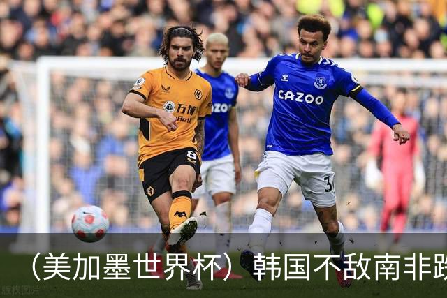 （美加墨世界杯）韩国不敌南非跌至小组第三 出线前景待定